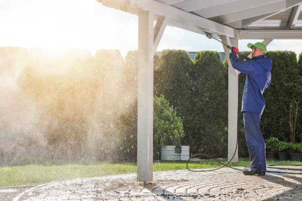 Animal Enclosure Cleaning in Waverly, TN